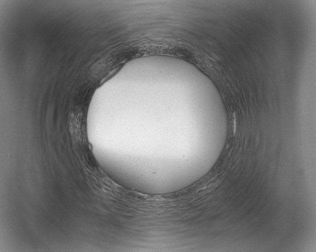 X0000056021059200508190914
