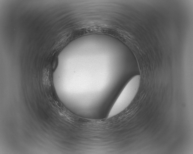 X0000056021060200508190914