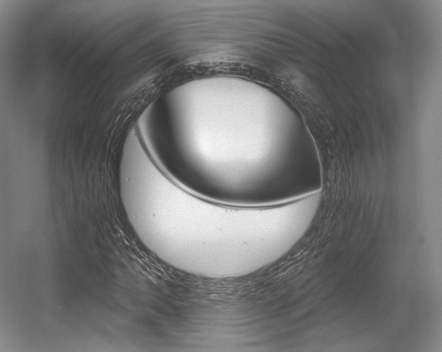 X0000056021062200508190914