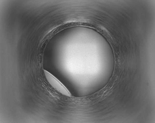 X0000056021064200508190914