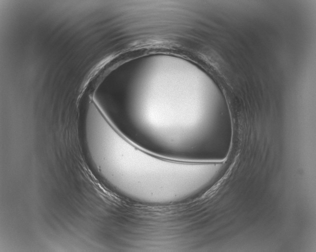 X0000056021066200508190914