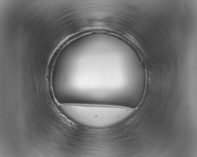 X0000056021068200508190914