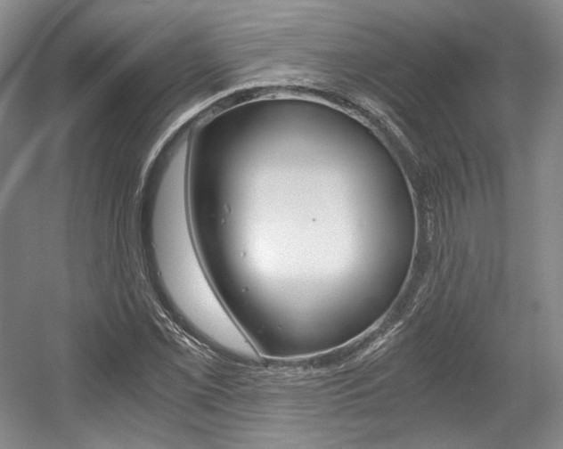 X0000056021069200508190914
