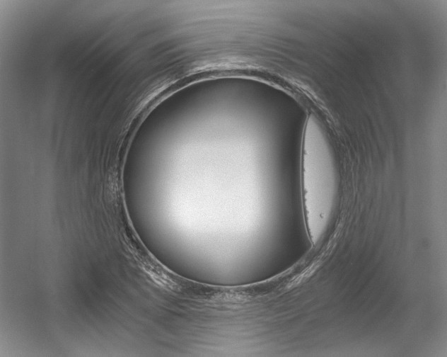 X0000056021073200508190914
