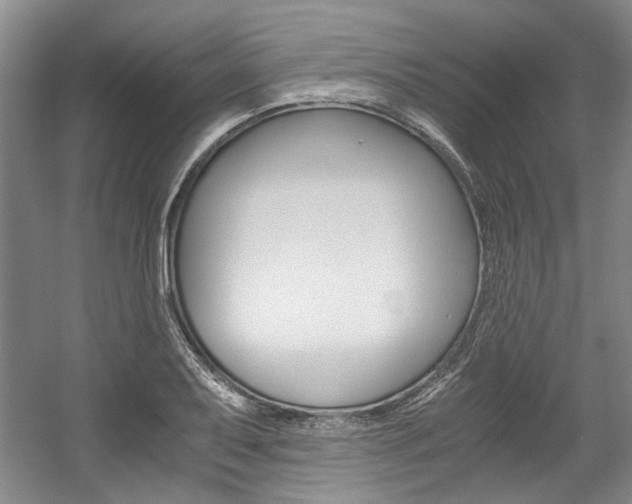 X0000056021079200508190914