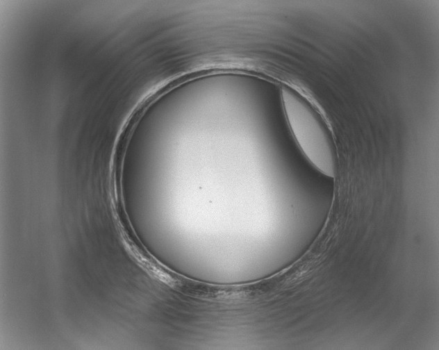 X0000056021080200508190914