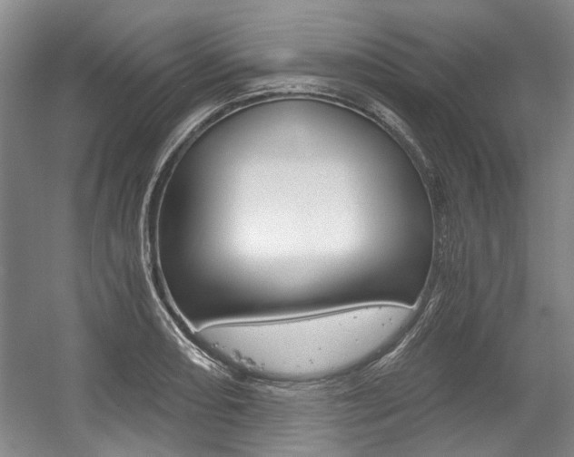 X0000056021082200508190914