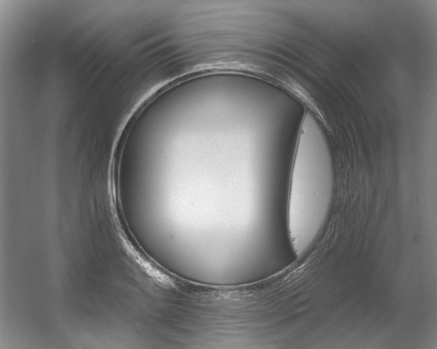 X0000056021084200508190914