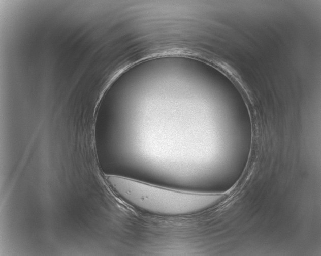 X0000056021097200508190914