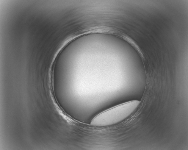 X0000056021099200508190914