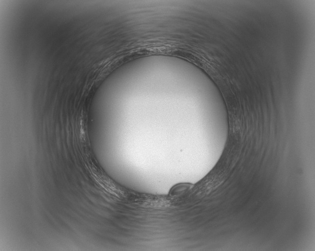X0000056021106200508190913