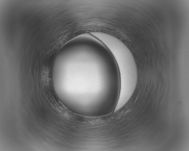 X0000056021108200508190913