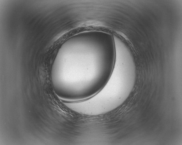 X0000056021112200508190913
