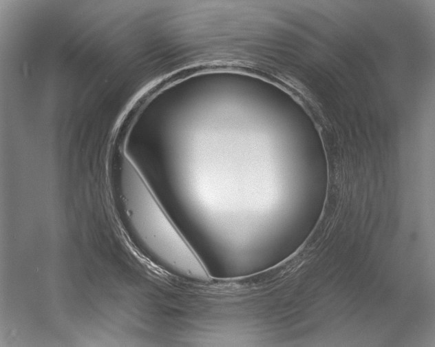 X0000056021120200508190913