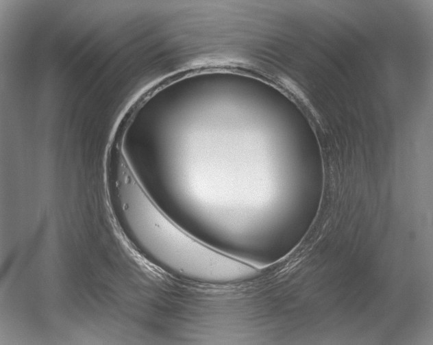 X0000056021124200508190913