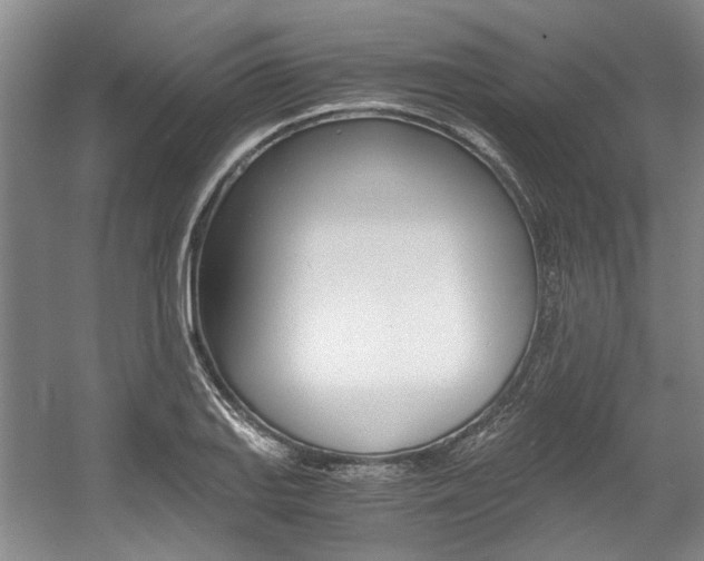 X0000056021127200508190913
