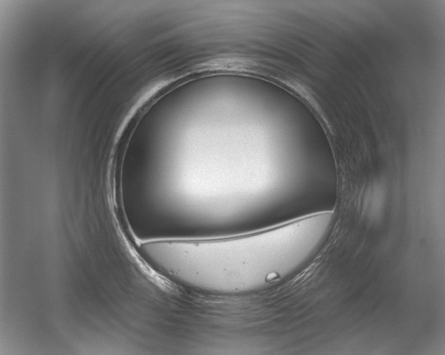 X0000056021131200508190913