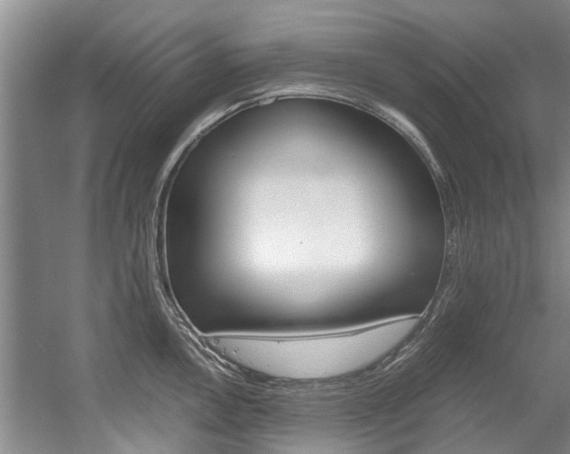 X0000056021146200508190913