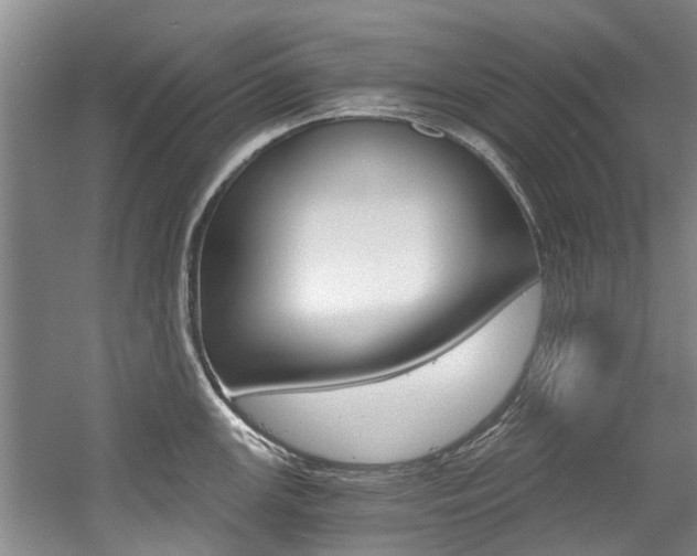 X0000056021147200508190913