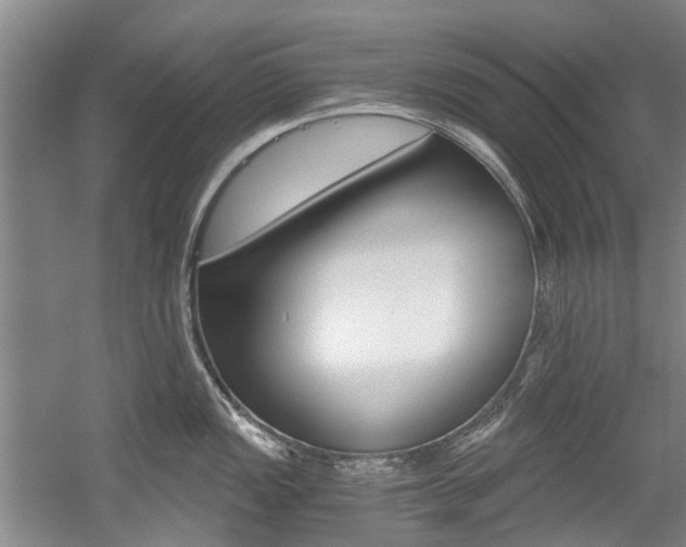 X0000056021149200508190913