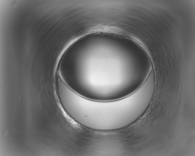 X0000056021152200508190913