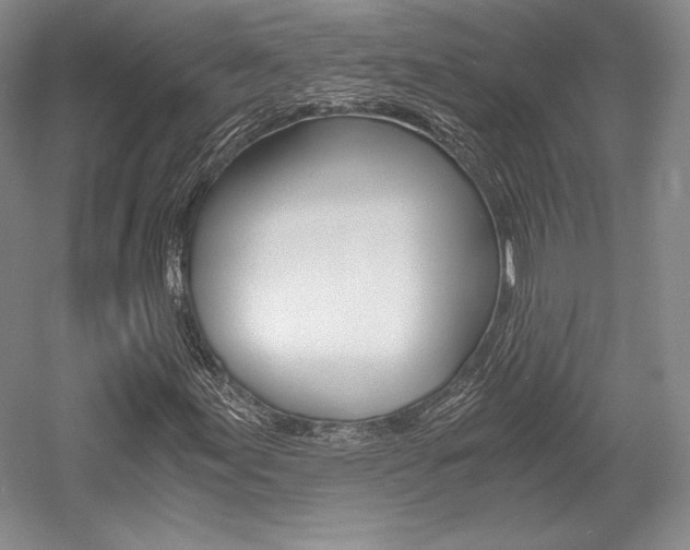 X0000056021155200508190913
