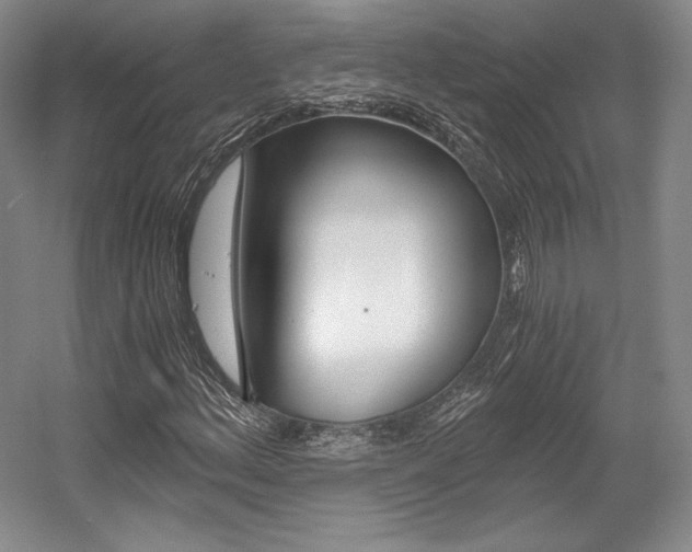 X0000056021156200508190913