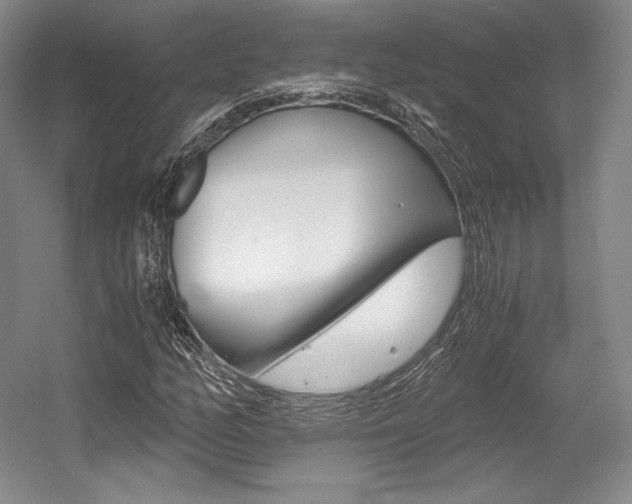 X0000056021158200508190913