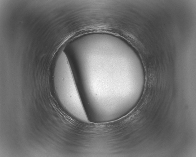 X0000056021162200508190912