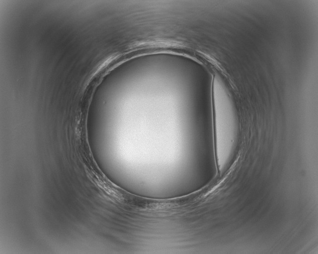X0000056021163200508190912