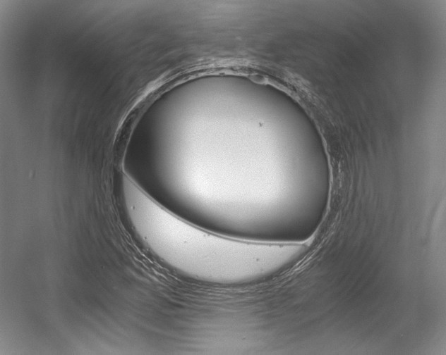 X0000056021165200508190912