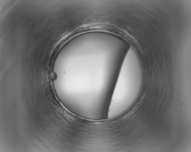 X0000056021166200508190912