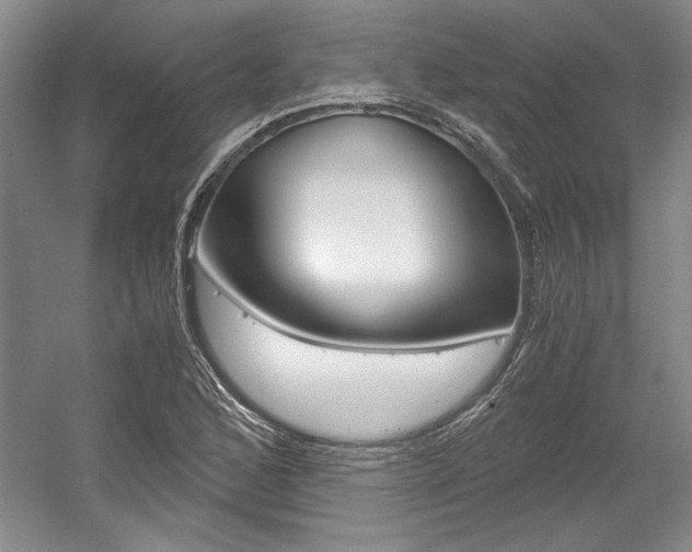 X0000056021168200508190912