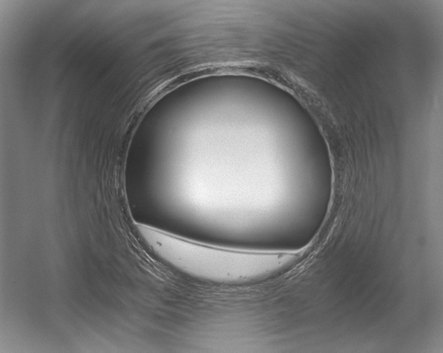 X0000056021169200508190912