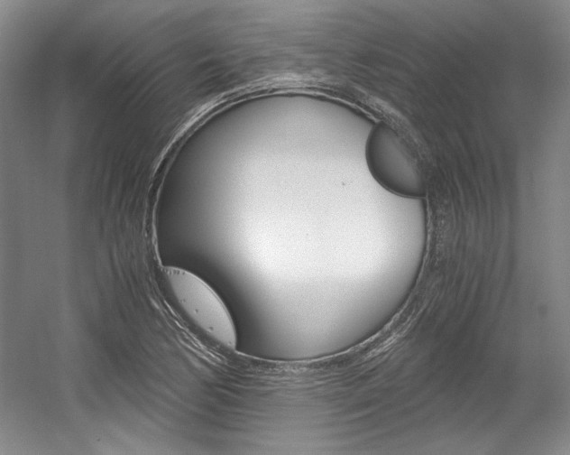X0000056021170200508190912