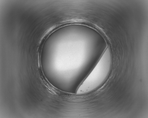 X0000056021171200508190912