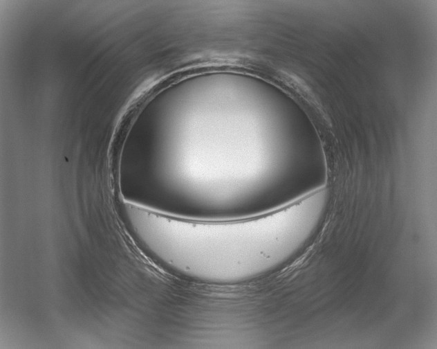 X0000056021172200508190912