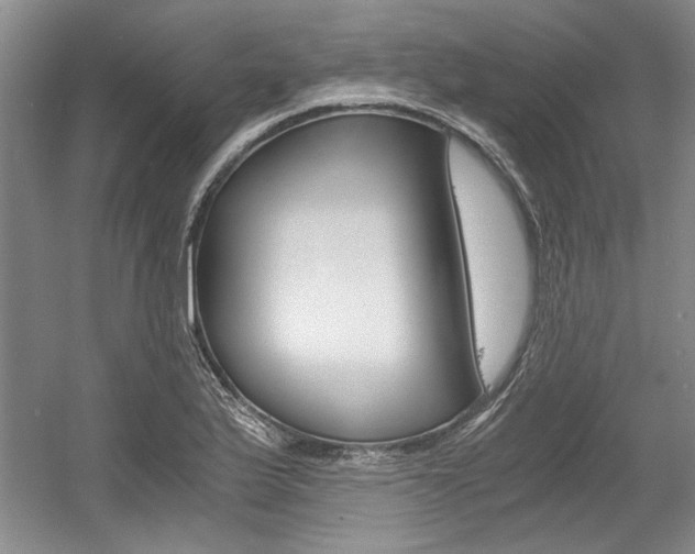 X0000056021175200508190912