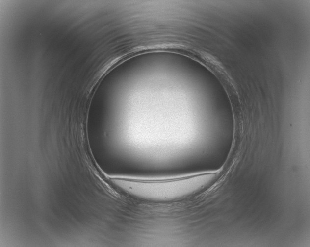 X0000056021177200508190912