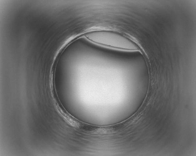X0000056021179200508190912