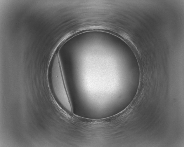 X0000056021181200508190912