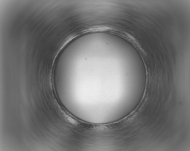 X0000056021186200508190912