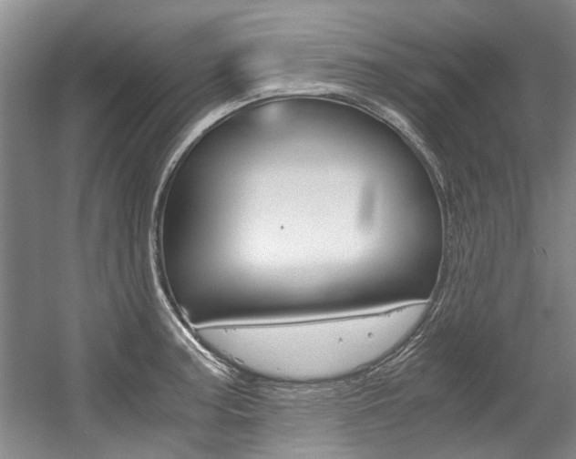 X0000056021187200508190912