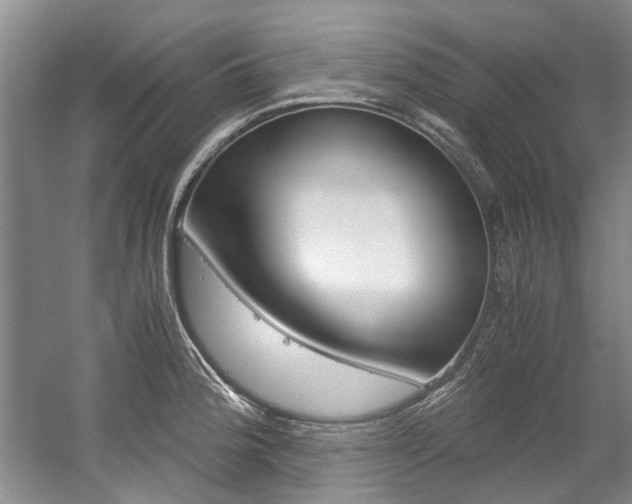 X0000056021188200508190912