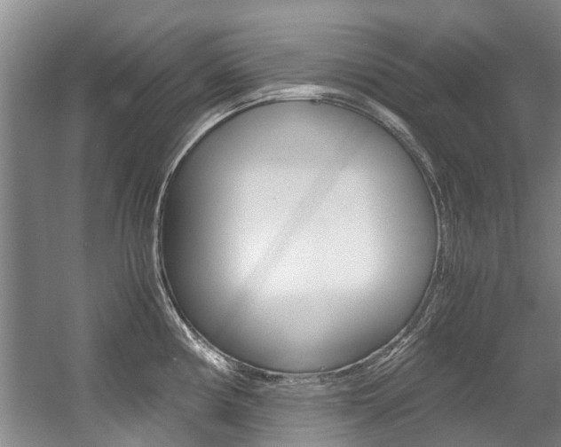 X0000056021194200508190912