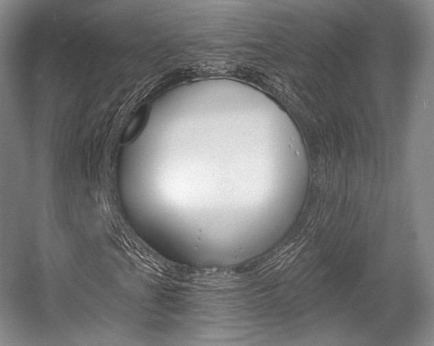 X0000056021201200508190911