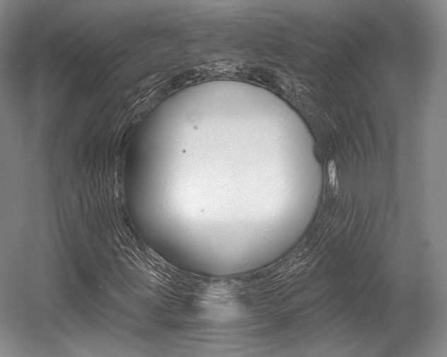 X0000056021203200508190911