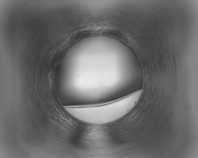 X0000056021204200508190911