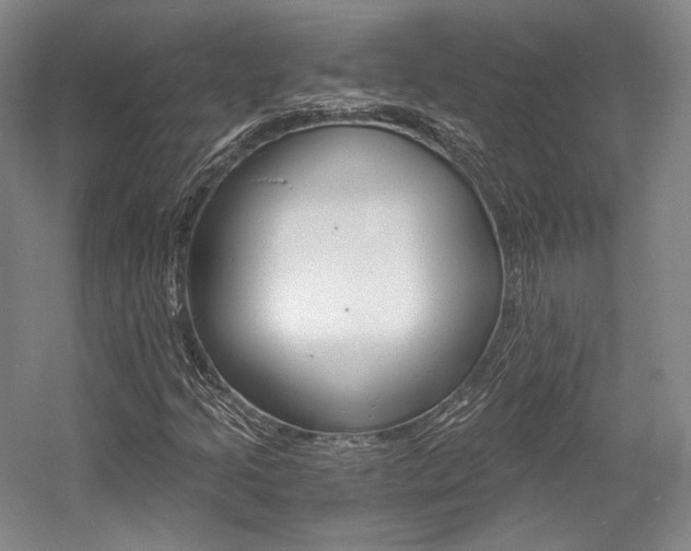 X0000056021205200508190911