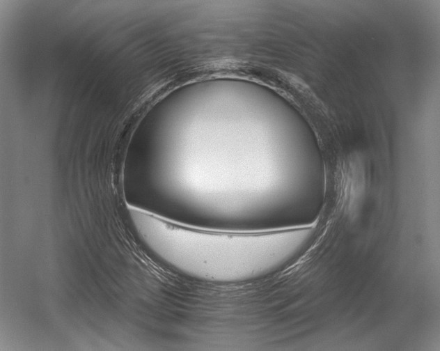X0000056021209200508190911